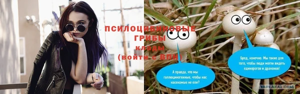 ALPHA PVP Мегион