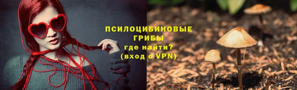 дживик Медвежьегорск