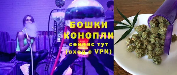 дживик Медвежьегорск