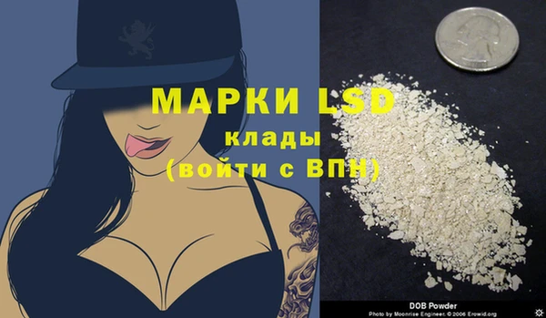 дживик Медвежьегорск