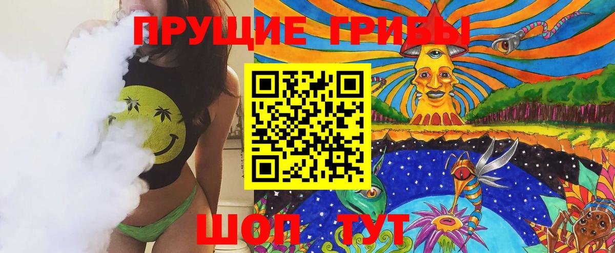 купить   Вход с VPN  Псилоцибиновые грибы GOLDEN TEACHER  Тихвин  Галлюциногенные грибы GOLDEN TEACHER 